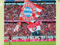 1xbet体育地址-不莱梅队员伤愈归来，状态复苏，备战残酷对阵的简单介绍