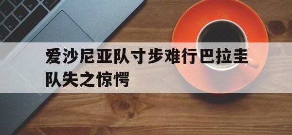 1xbet体育中国官网-爱沙尼亚队寸步难行巴拉圭队失之惊愕的简单介绍