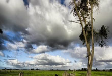 1xbet体育在线登录-关于利物浦再下一城，实力不容小觑的信息