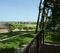 阿尔希拉尔防线稳固，力拼鹿岛鹿角全力拿分