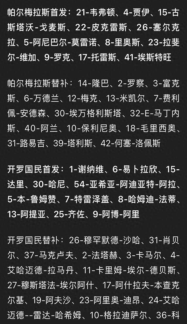 包含帕尔梅拉斯伤病名单更新，关键球员状态备受关注的词条