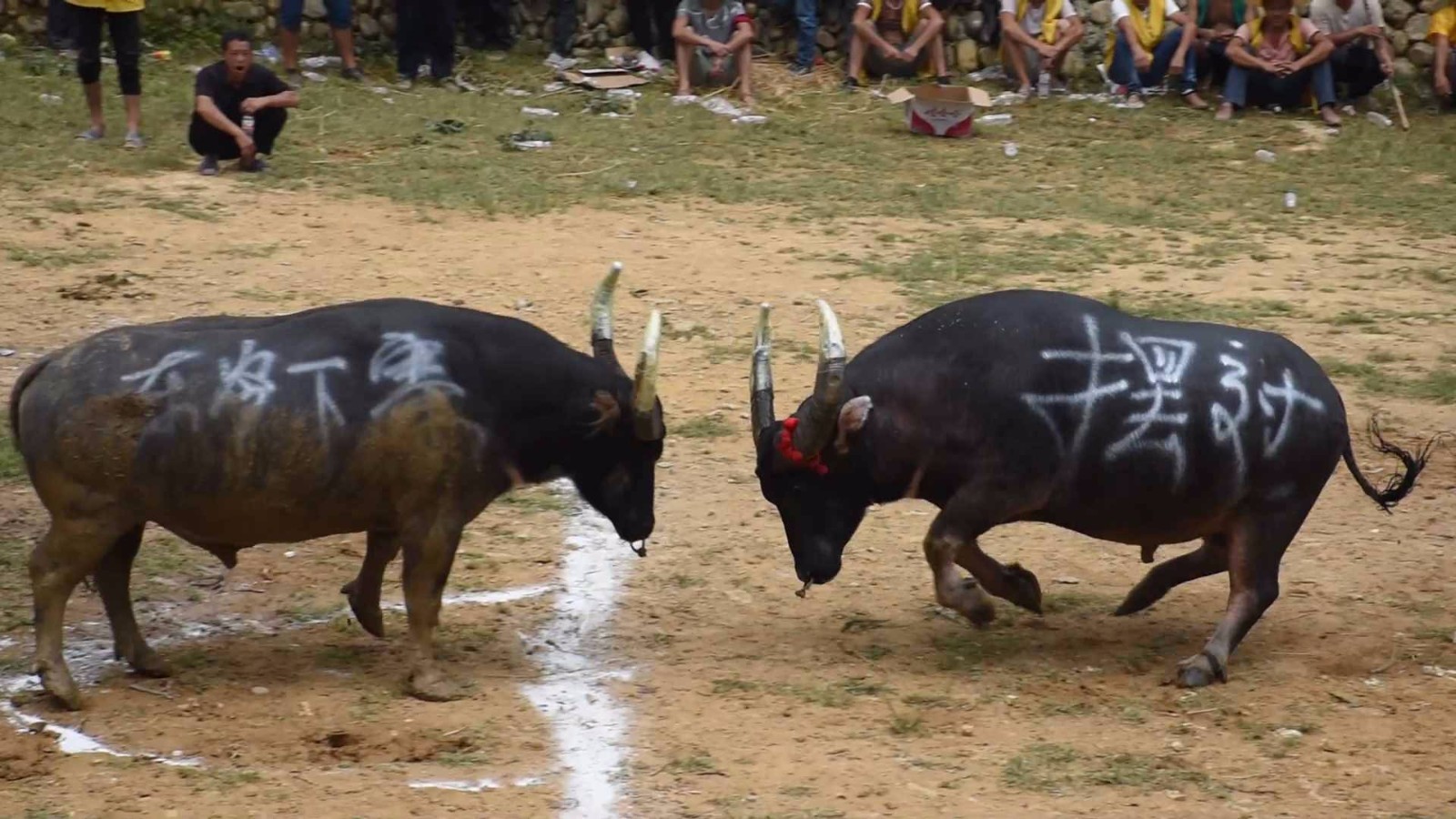 阿拉伯联赛重摆除嫌疑名单，赛季继续进行的简单介绍