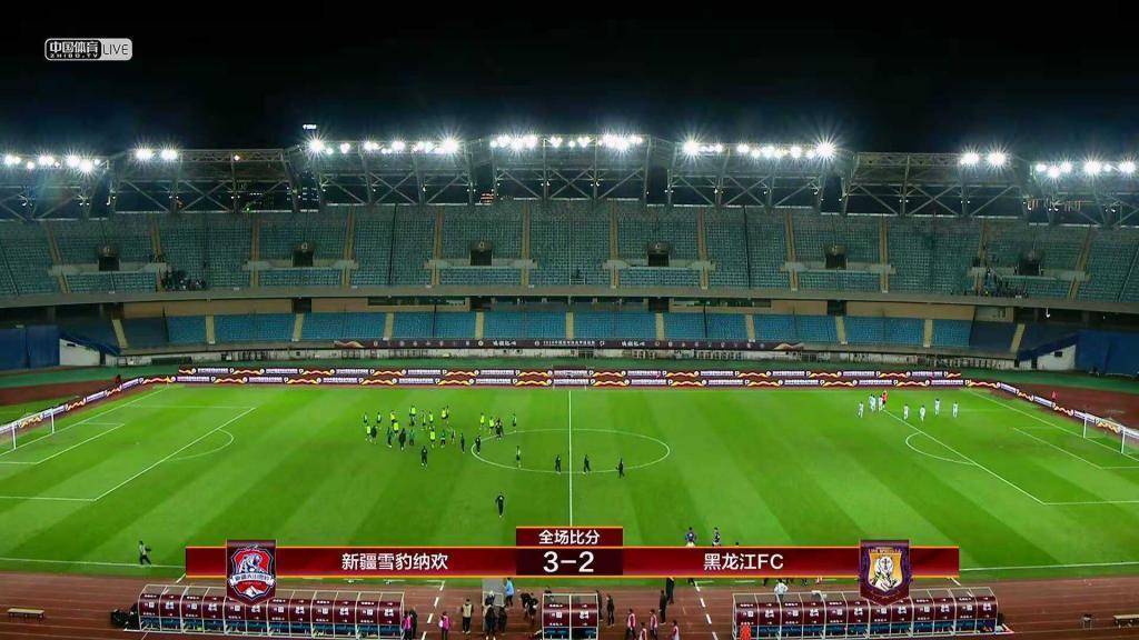 新疆雪豹客场战平，球队保级形势不明朗