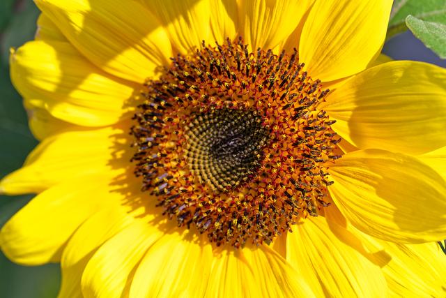 辉煌绽放！运动员再现耀眼光芒的简单介绍