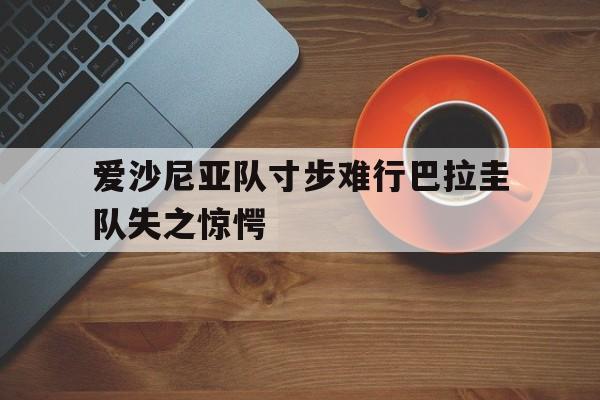 爱沙尼亚队寸步难行巴拉圭队失之惊愕的简单介绍